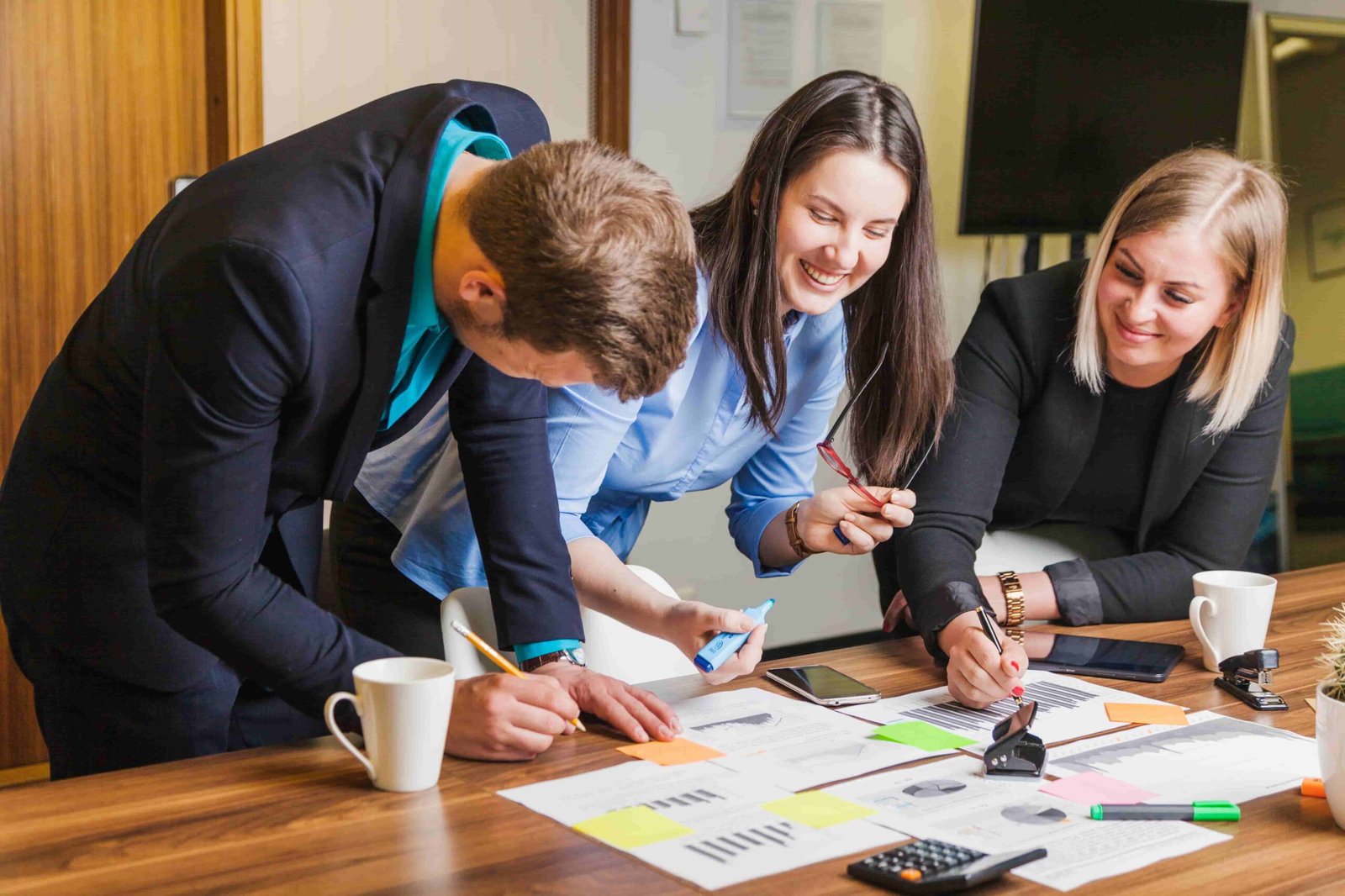 audit support team